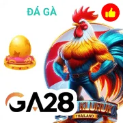 45678 Game 07