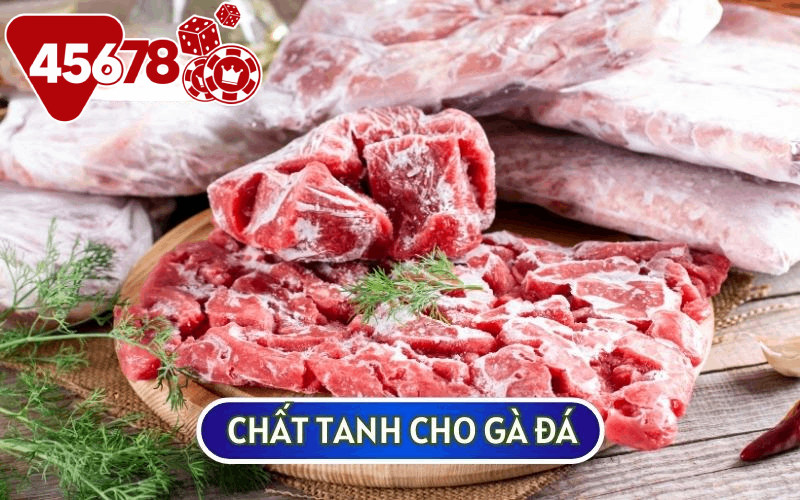 Chất tanh hay còn được biết đến là thịt lợn, thịt bò để tăng sức đề kháng cho GÀ CHIẾN