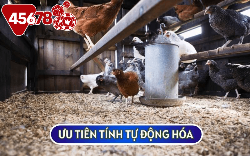 Sư kê nên ưu tiên phương pháp khép kín và máy móc tự động hiện đại