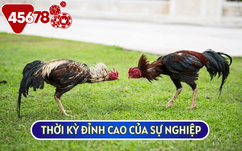 Thời kỳ đỉnh cao của hùng kê này bắt đầu từ năm 2003 đến 2006