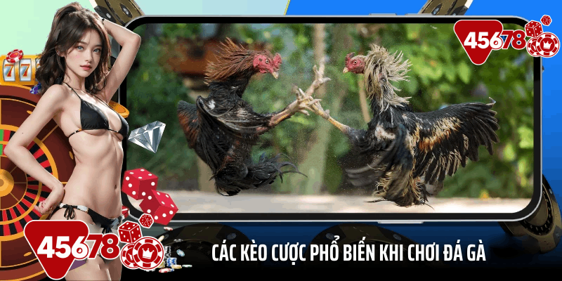 Các kèo cược phổ biến khi chơi đá gà 45678