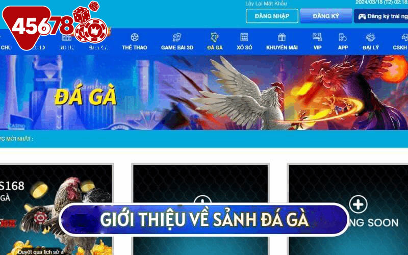 GIỚI THIỆU VỀ SẢNH ĐÁ GÀ 45678