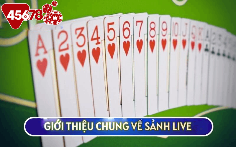 GIỚI THIỆU CHUNG VỀ SẢNH LIVE 45678